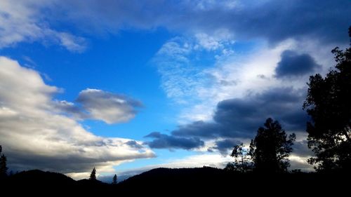 Low angle view of silhouette trees against sky