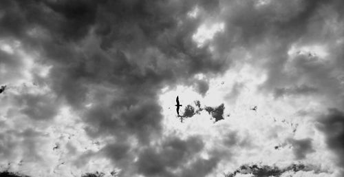 Low angle view of birds flying in sky