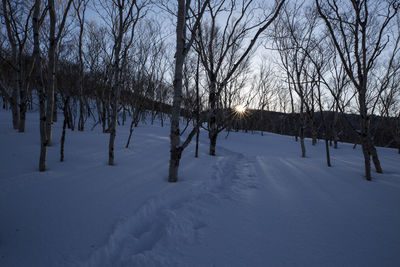 Bare trees on snow covered field against sky