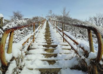 Snow covered plants on field against sky