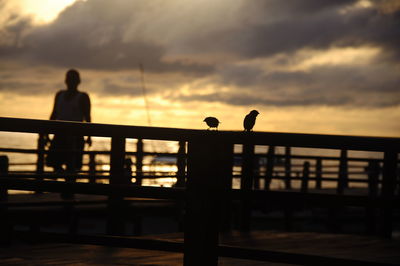 Two sparrows perched on the pier railing against the backdrop of the sunrise