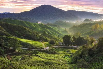Scenic view of field against mountains