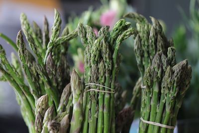 Close-up of fresh asparagus for sale in market