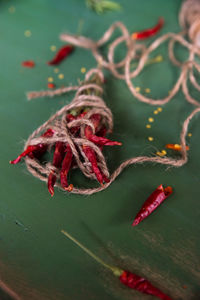 Close-up of red flower