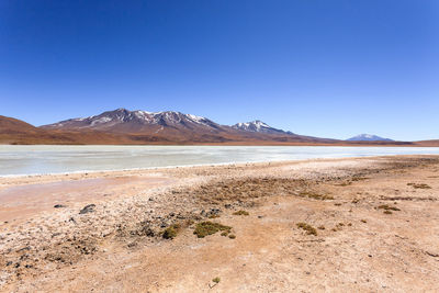 Scenic view of beach against clear blue sky