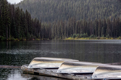 Boats moored in lake against trees in forest