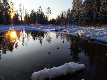 Frozen lake by trees during winter