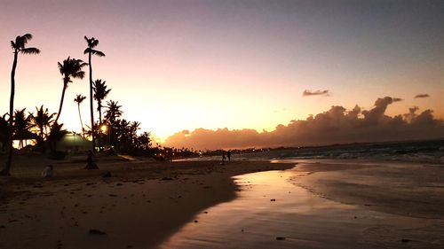 Silhouette trees on beach against sky during sunset