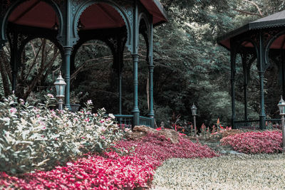 Red flowering plants in a temple