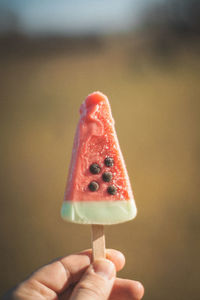 Close-up of hand holding strawberry