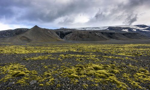 Scenic view of yellow and mountains against sky