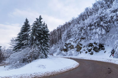 Winter road. country road through forest. travel concept.