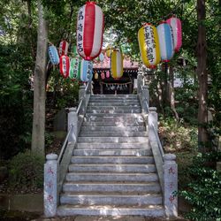 Low angle view of wooden staircase in park