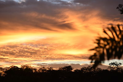 Silhouette of trees against cloudy sky