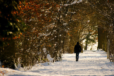 Rear view of woman walking on snow covered trees