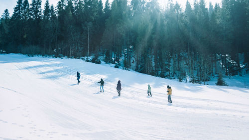 Group walking up a mountain in winter, with scenic snow covered trees on the background download