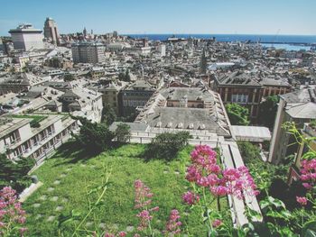 View of plants in city