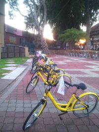 Bicycle parked on street