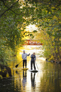 Two people rowing paddle boards in autumn trees