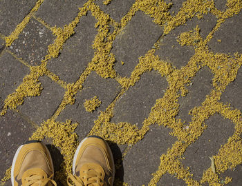 Low section of person standing on yellow street