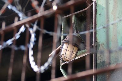 Close-up of lamp in cage