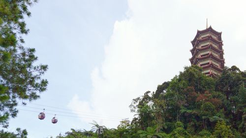 Low angle view of trees against sky