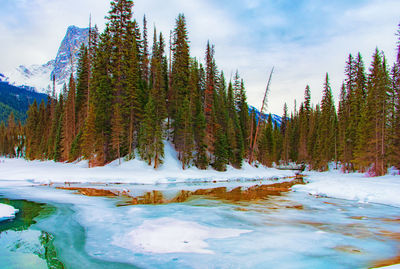 Scenic view of lake against sky during winter