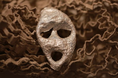 Close-up of human skull