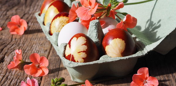 Easter eggs painted with onion peels in a container for eggs on a background with pink pelargonium 