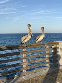 Seagulls perching on a sea against sky