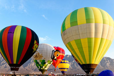 Low angle view of hot air balloons