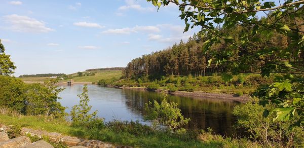 Scenic view of river by trees against sky