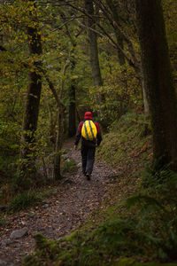 Rear view of person walking on footpath in forest