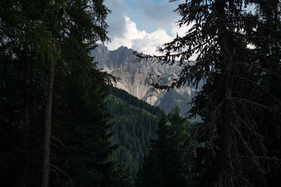 Panoramic view of trees and mountains against sky