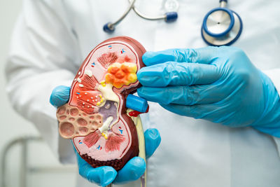 Midsection of doctor holding dentures