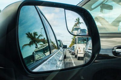 Reflection of palm trees on side-view mirror of car