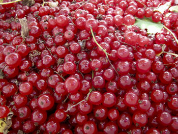 Full frame shot of berries
