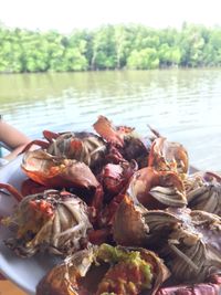 Close-up of meat in water