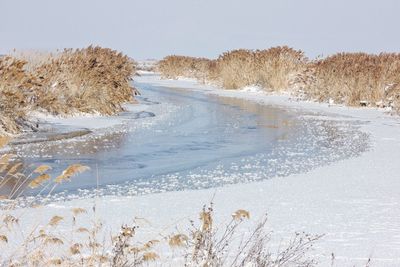 Scenic view of landscape against clear sky during winter