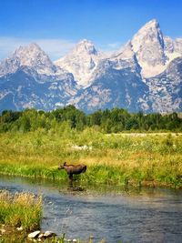 Scenic view of lake and mountains