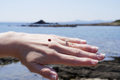 Cropped image of hand against sea against sky