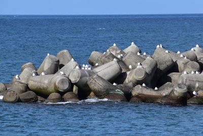 Scenic view of sea against clear sky