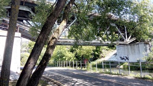 Abandoned built structure against trees