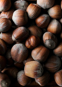 Macrophotography  shot of hazelnuts 