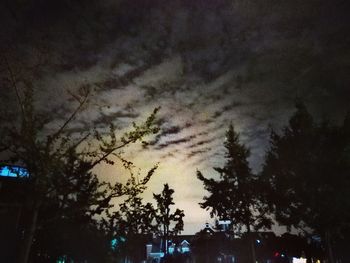 Low angle view of trees against sky at night