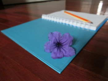 High angle view of purple flower on table