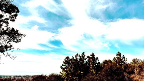 Low angle view of silhouette trees against sky