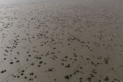 Full frame shot of beach