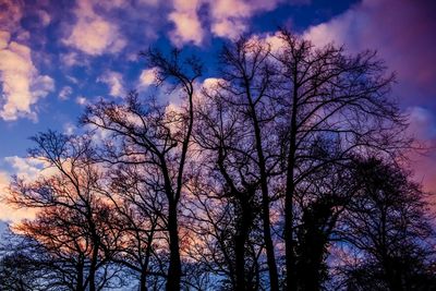 Low angle view of bare trees against cloudy sky