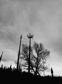 Low angle view of silhouette tree against sky